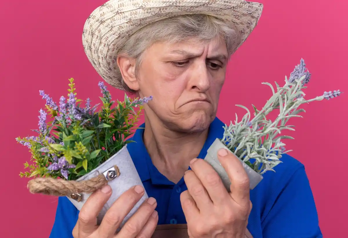 Czech grandmother homemade skincare routine