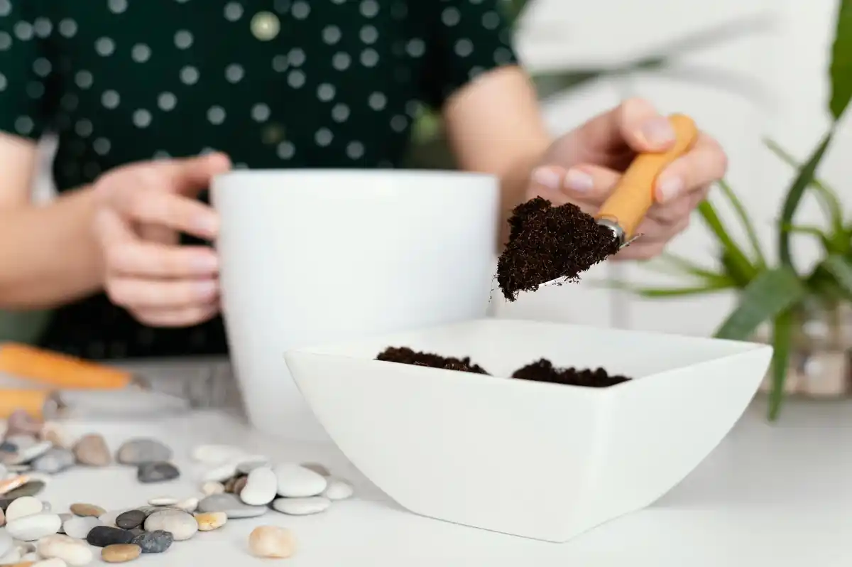 coffee grounds cellulite scrub Czech bathroom