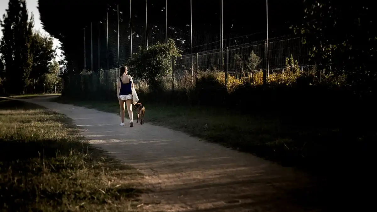 evening running city park czech