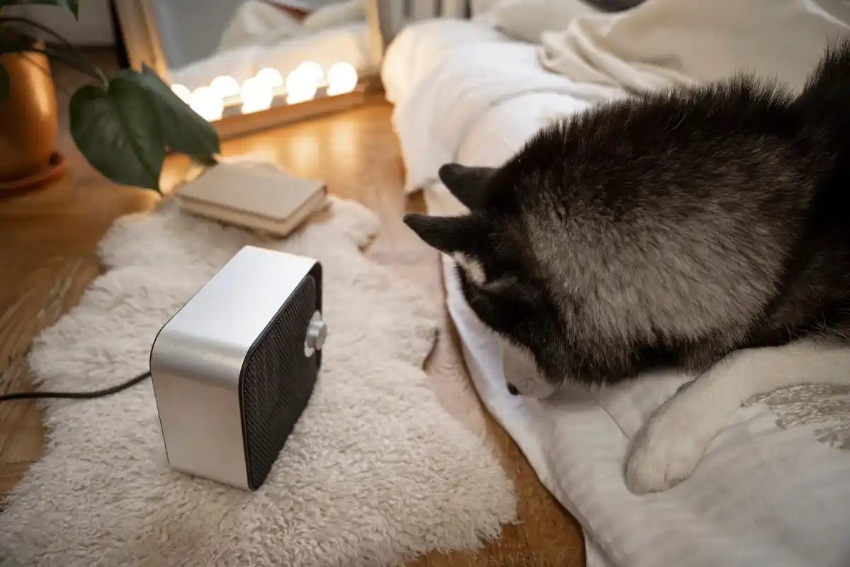 old wifi router as repeater boost home signal czech apartment