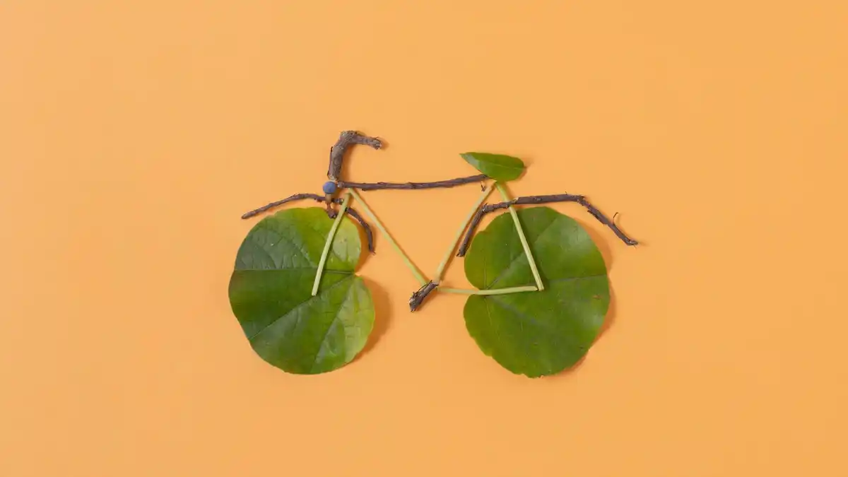 creative recycling art from junk