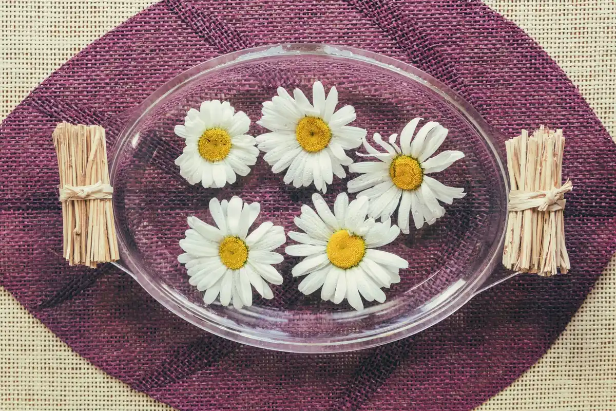 closeup czech natural acne remedy chamomile honey ice cube