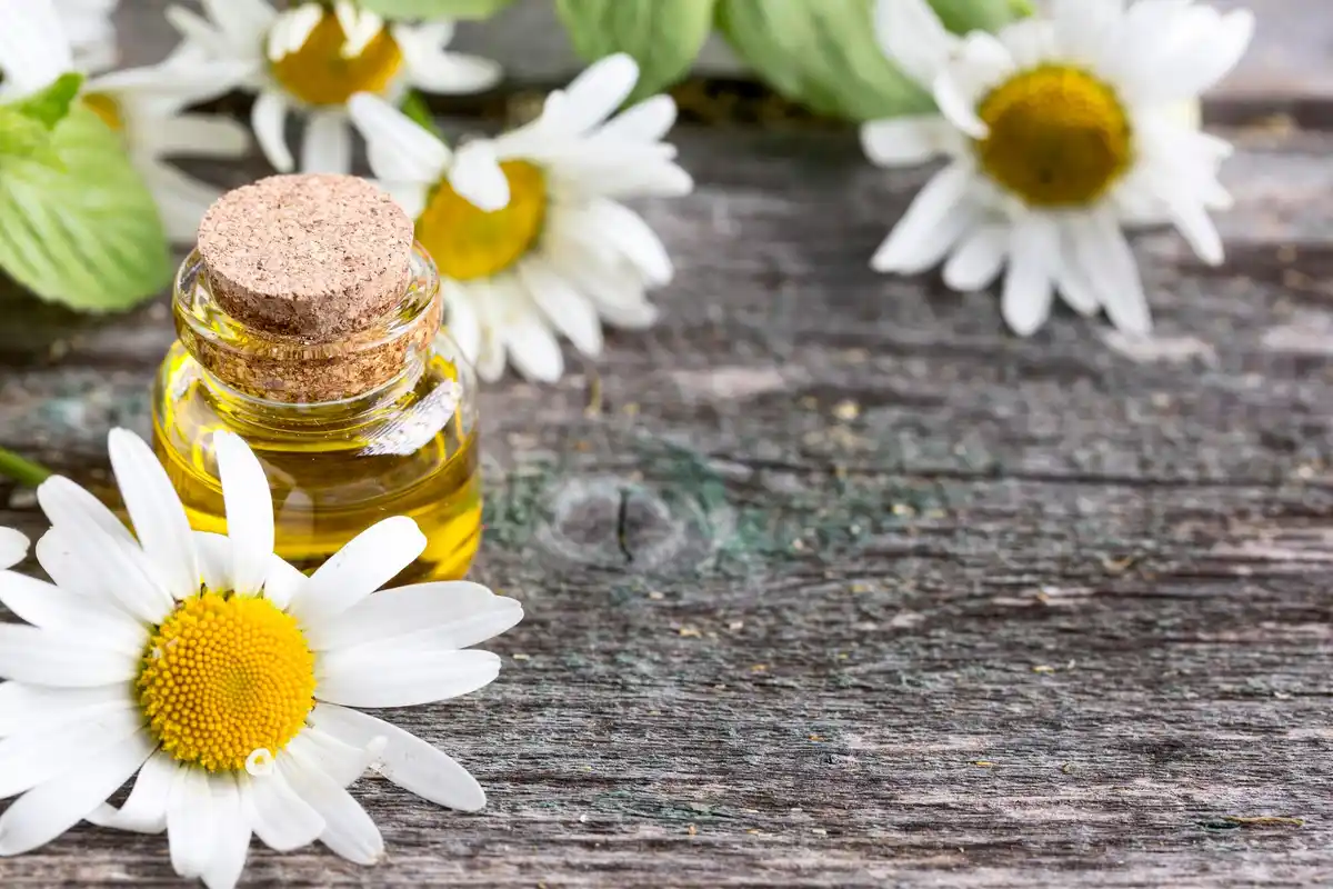 closeup facial skin natural treatment chamomile ice honey face mask