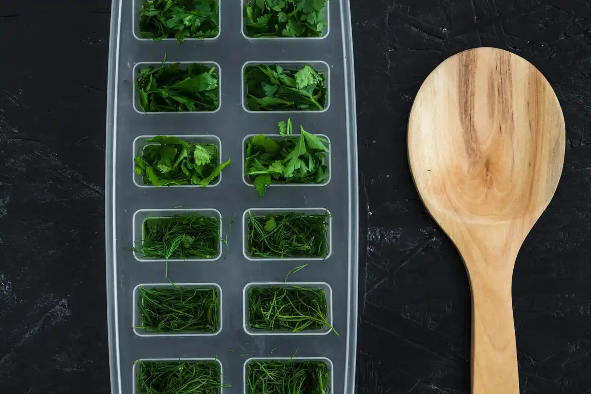 how to keep parsley fresh in fridge Czech home kitchen