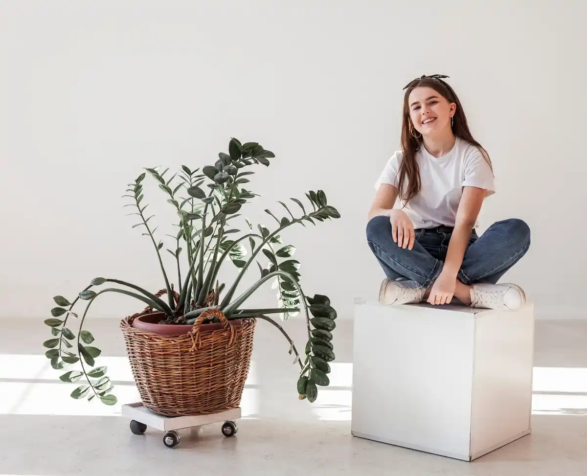 feng shui modern czech home indoor plants cheerful