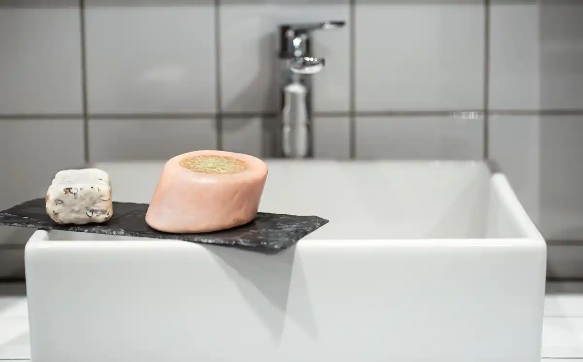 bathroom odor cause cleaning drain Czech