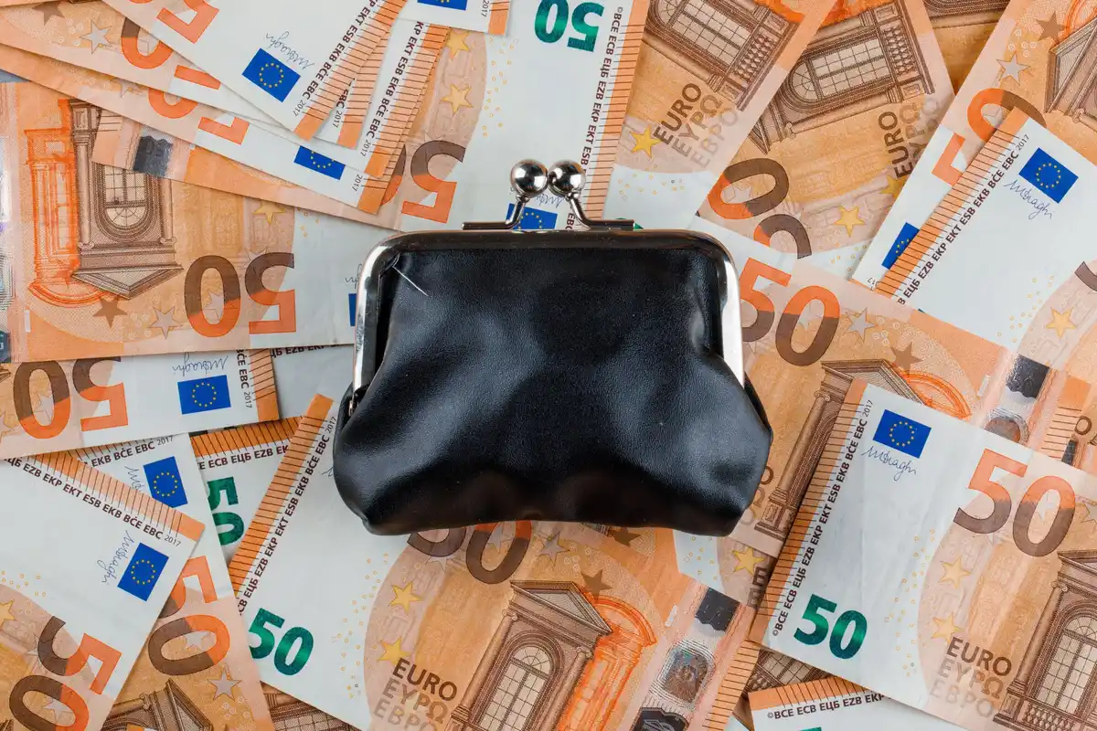 realistic czech wallet receipts expenses tracking