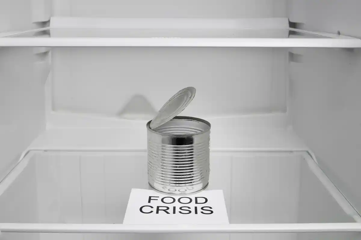 baking soda in fridge deodorizer cz