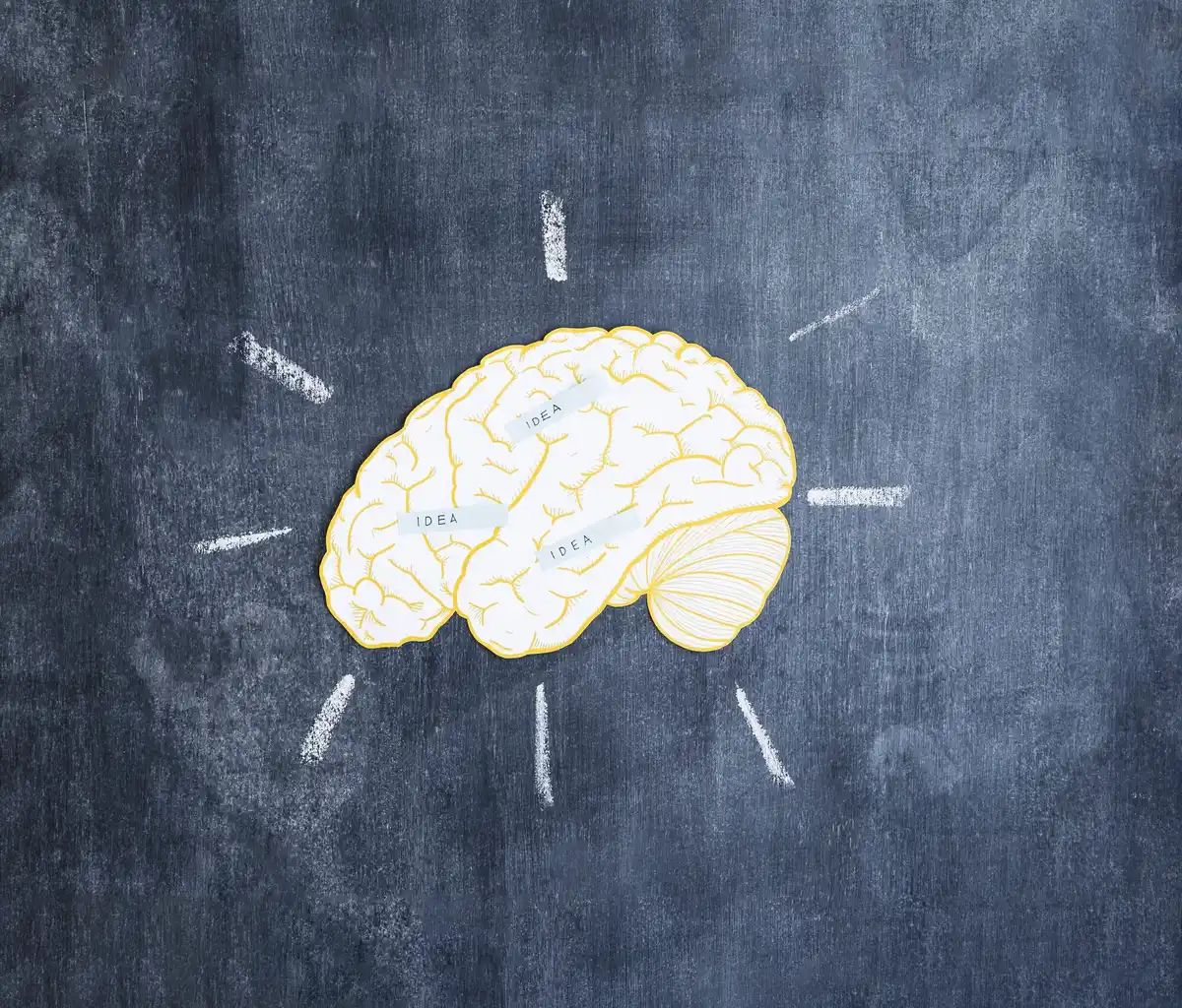 left hand drawing brain neuroplasticity