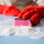 dirty dish sponge bacteria close up