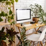 modern creative workspace feng shui plants cz