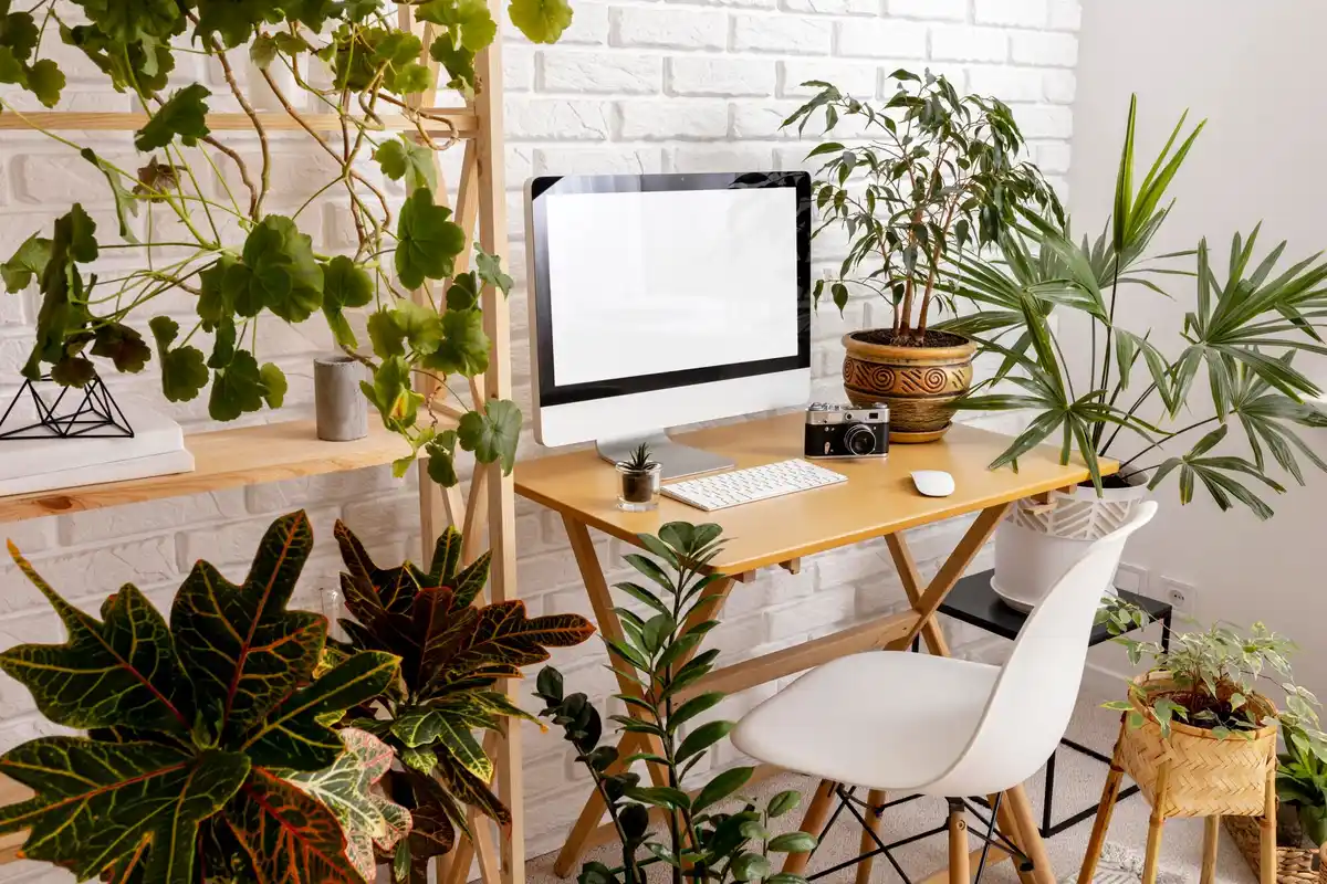 modern creative workspace feng shui plants cz
