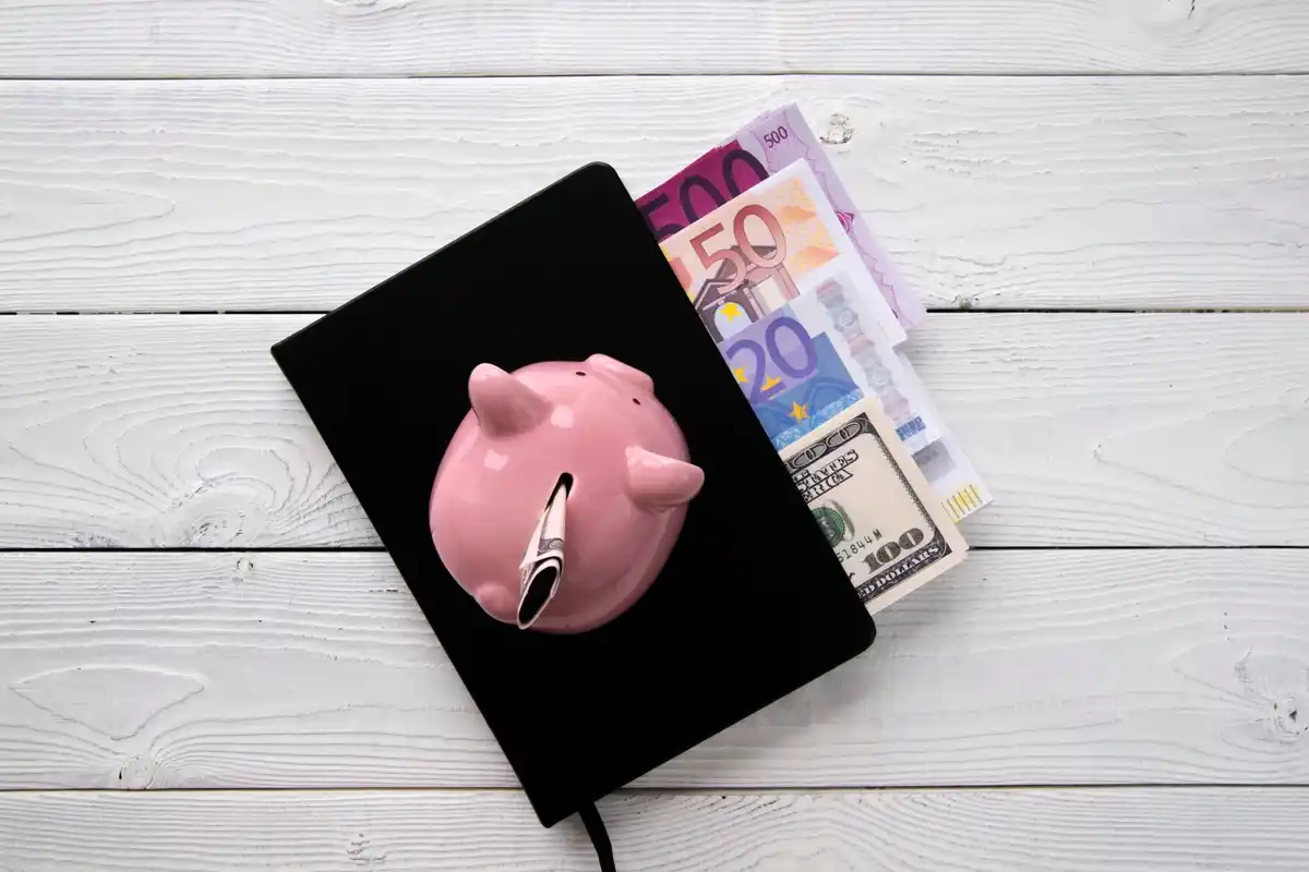 czech family budget daily expenses coins