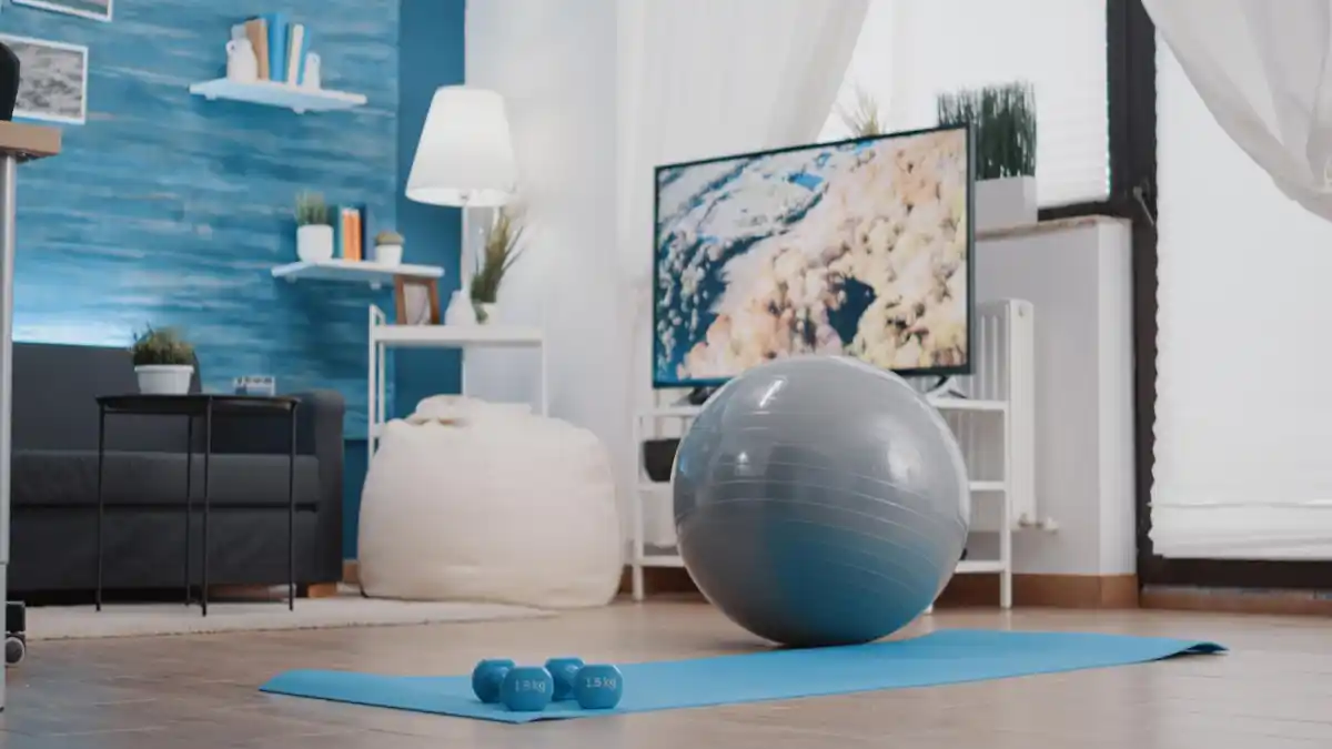 home fitness czech interior minimal