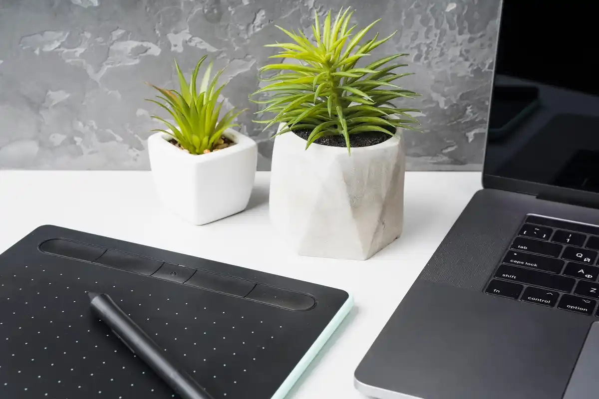 feng shui office modern desk plant right