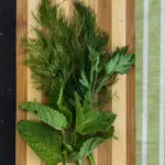 fresh herbs in refrigerator long lasting