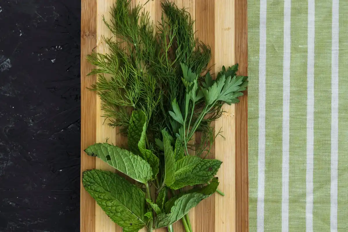 fresh herbs in refrigerator long lasting