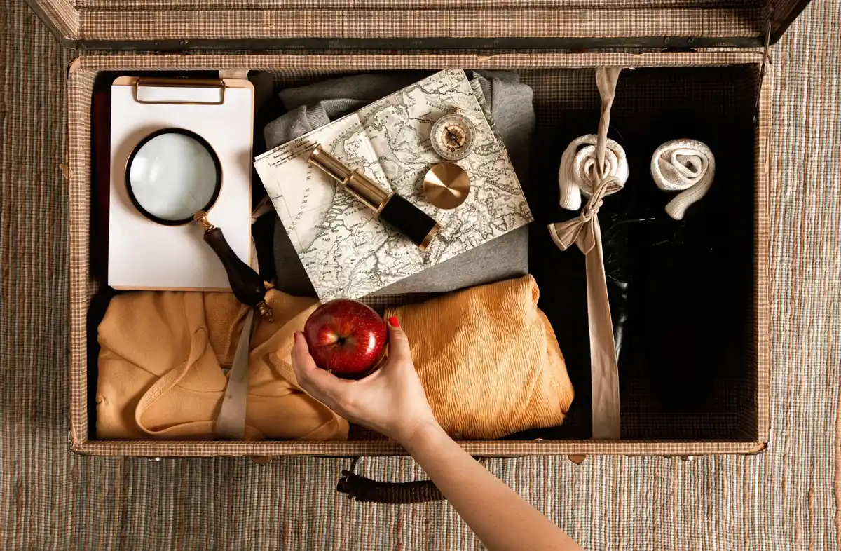 Czech apartment moving with old suitcase