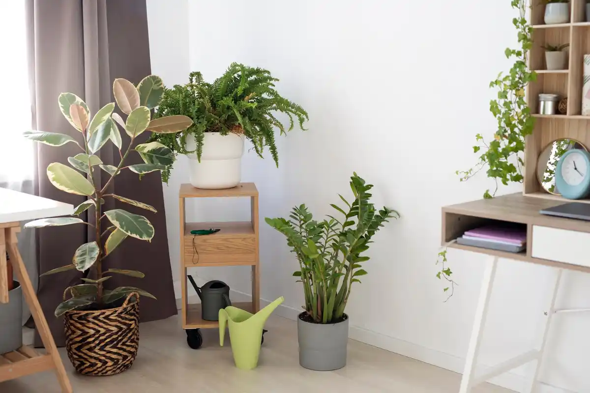creative home workspace with house plants and natural light