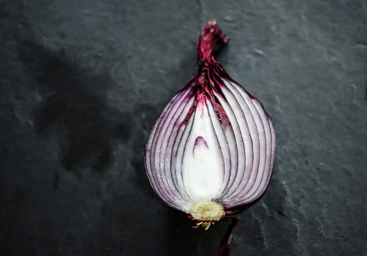 onion peel closeup kitchen rustic