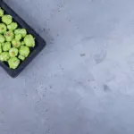 frozen celery cubes in home freezer