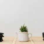 feng shui creative corner home office plants Czech design