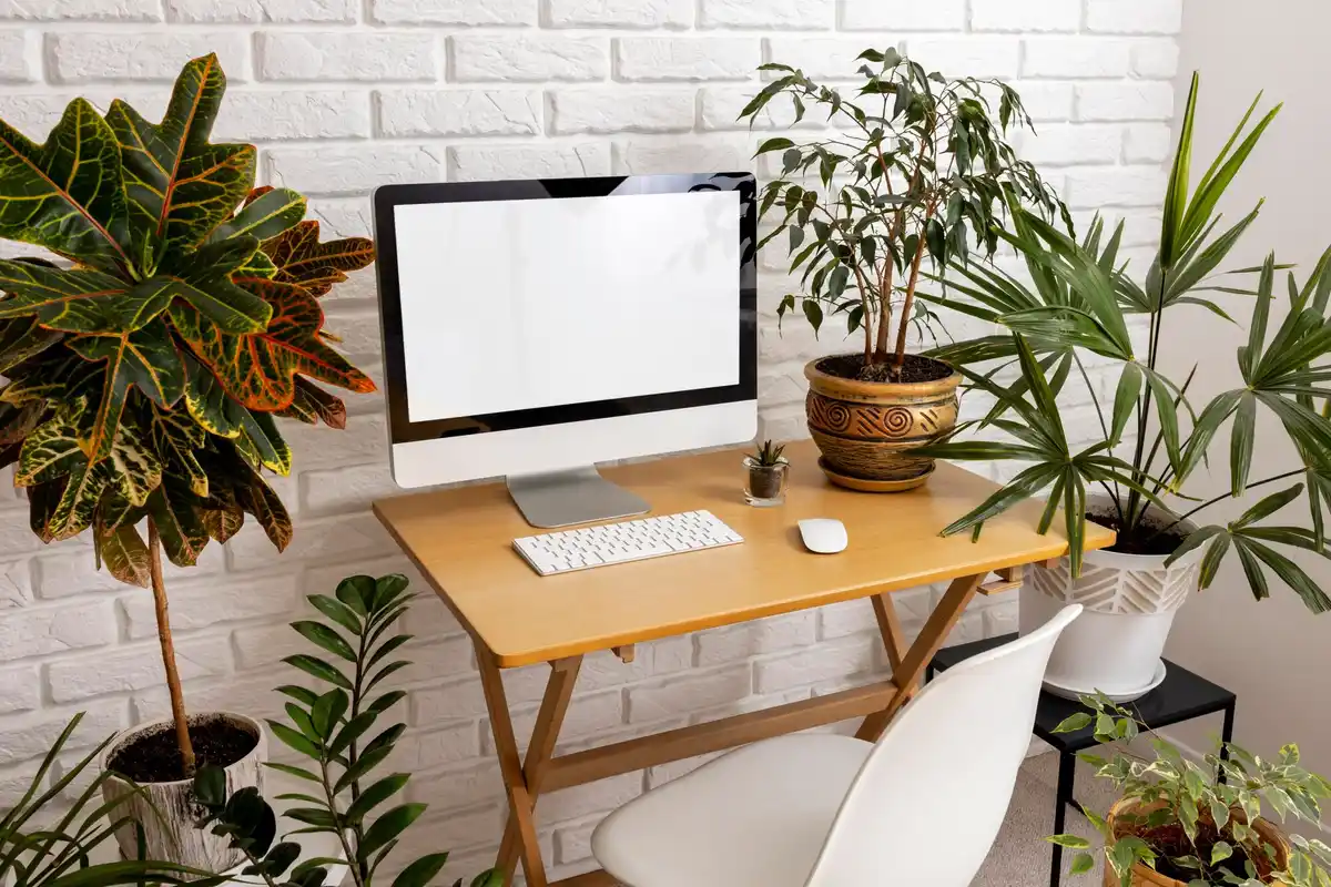 home office with plants and natural wood desk in Czech apartment