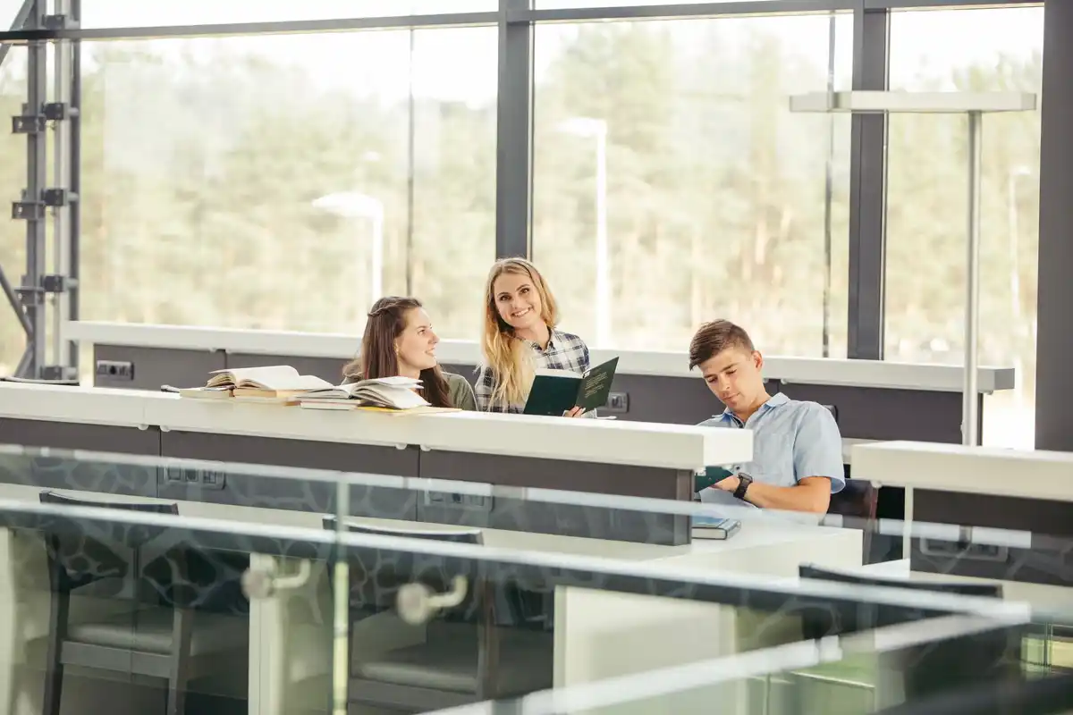 young czech people focused one task modern office prague