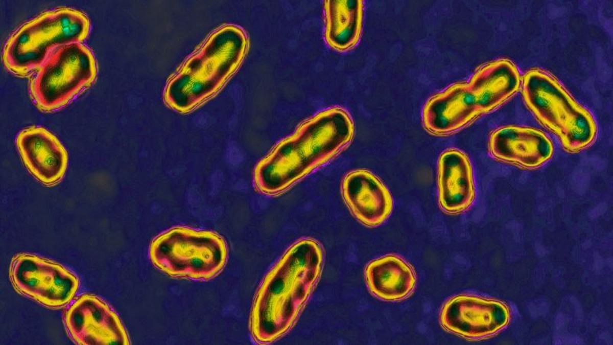 Historička hypotéza: Erupce sopky mohla spustit Děsivou černou smrt