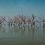 Nový pohled na historii globálního oteplování: Jak daleko sahají kořeny klimatických změn?