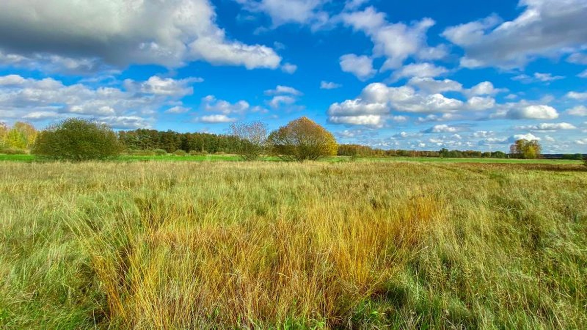 Obecný příběh Zeleného pásu: od rozdělení k ochraně přírody