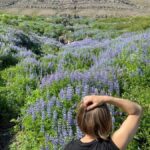 Problémy a trendy související s rostlinami na Islandu a ve světě