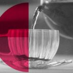 Proč je čaj prospěšný pro vaše zdraví a jak si připravit ideální šálek